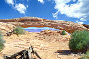 Click on image to enlarge
