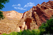 Click on image to enlarge