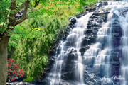 Click on image to enlarge
