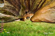 Click on image to enlarge