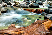 Click on image to enlarge