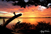 Click on image to enlarge