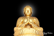 Click on image to enlarge