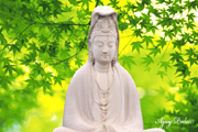 Click on image to enlarge