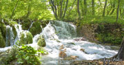 Click on image to enlarge