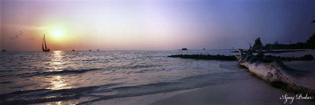 Click on image to enlarge