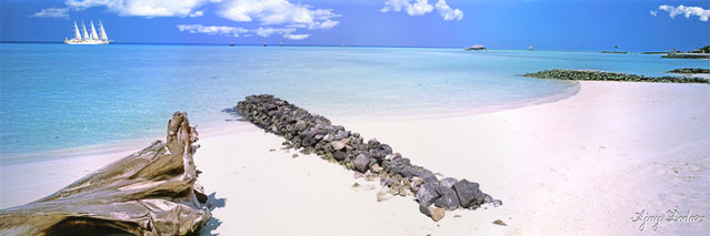 Click on image to enlarge