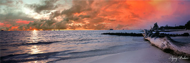 Click on image to enlarge