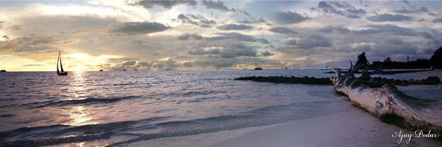 Click on image to enlarge