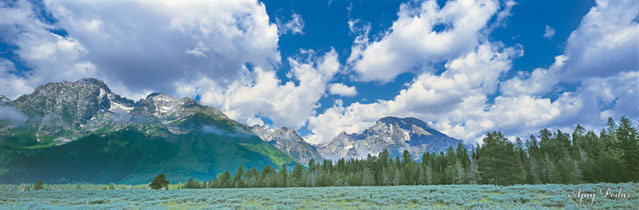 Click on image to enlarge