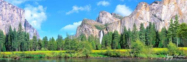 Click on image to enlarge