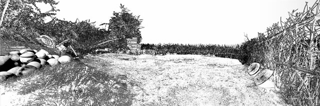 Click on image to enlarge